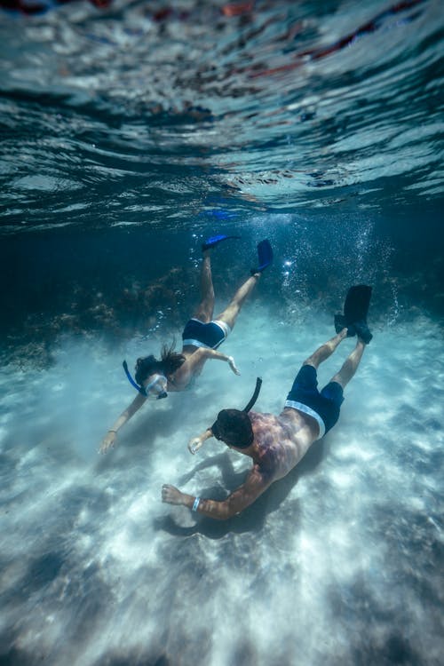 snorkeling photograph