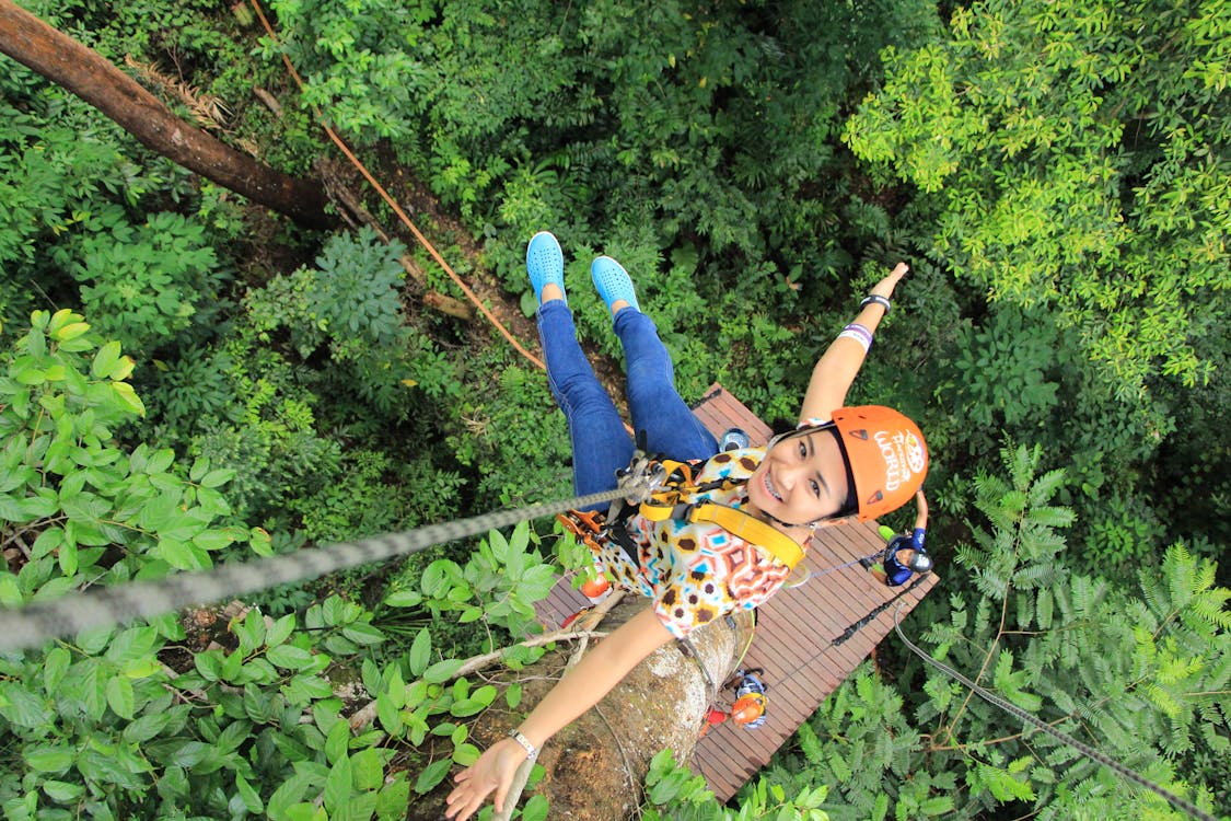 zipline in rainforest photograph